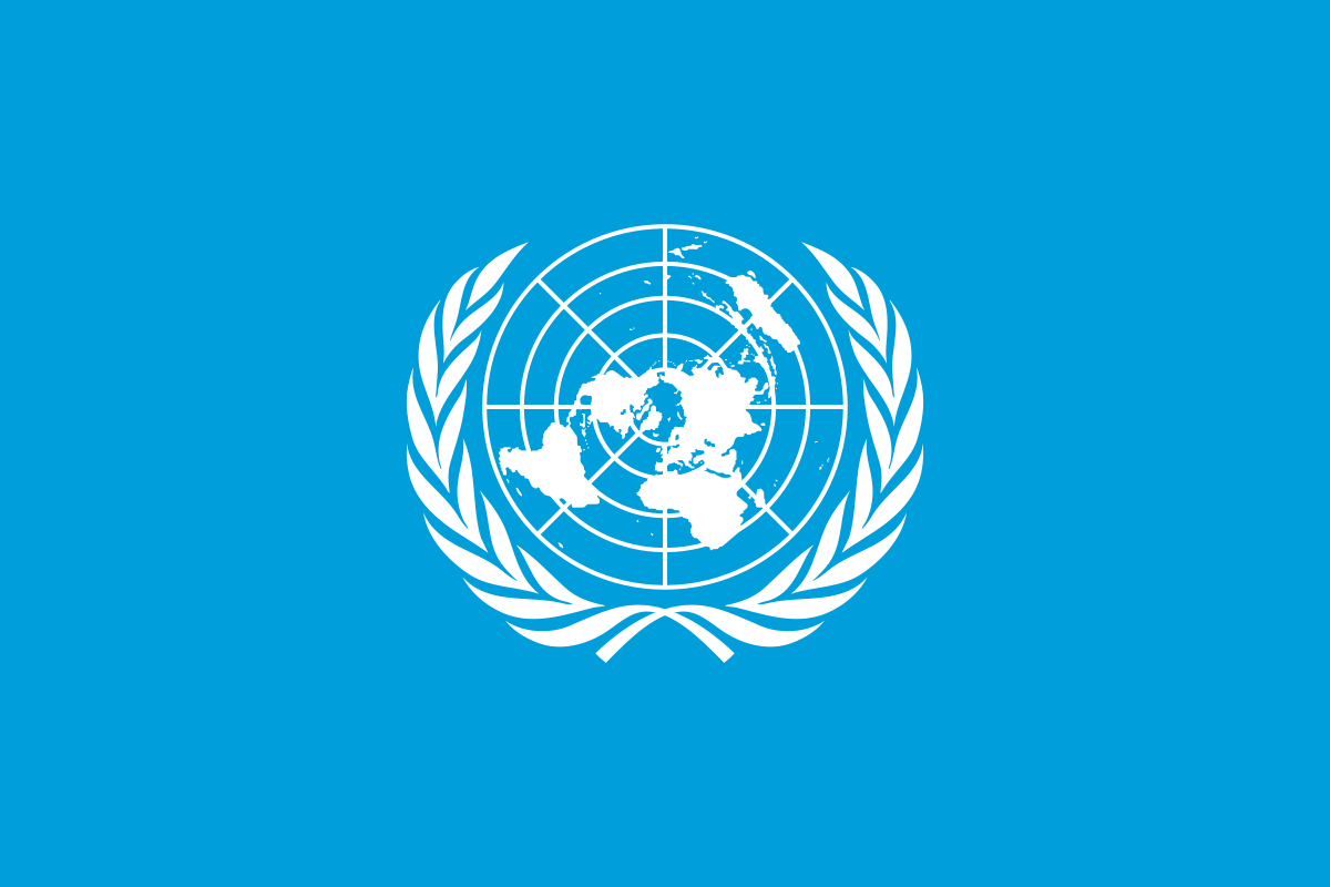UN Plan of Action on the Safety of Journalists and the Issue of Impunity